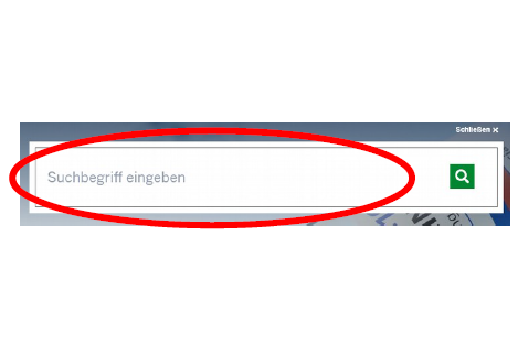 Screenshot Suchfeld rot markiert